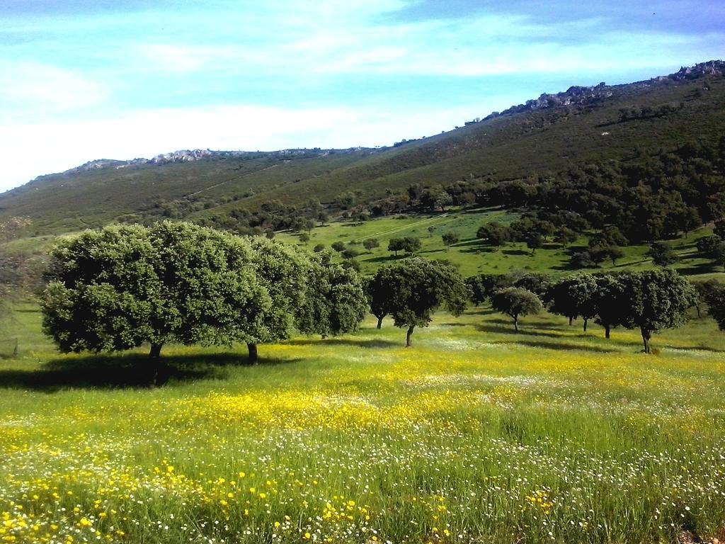 Casa Rural La Sierra De Monfraguee Малпартида де Пласенсия Екстериор снимка